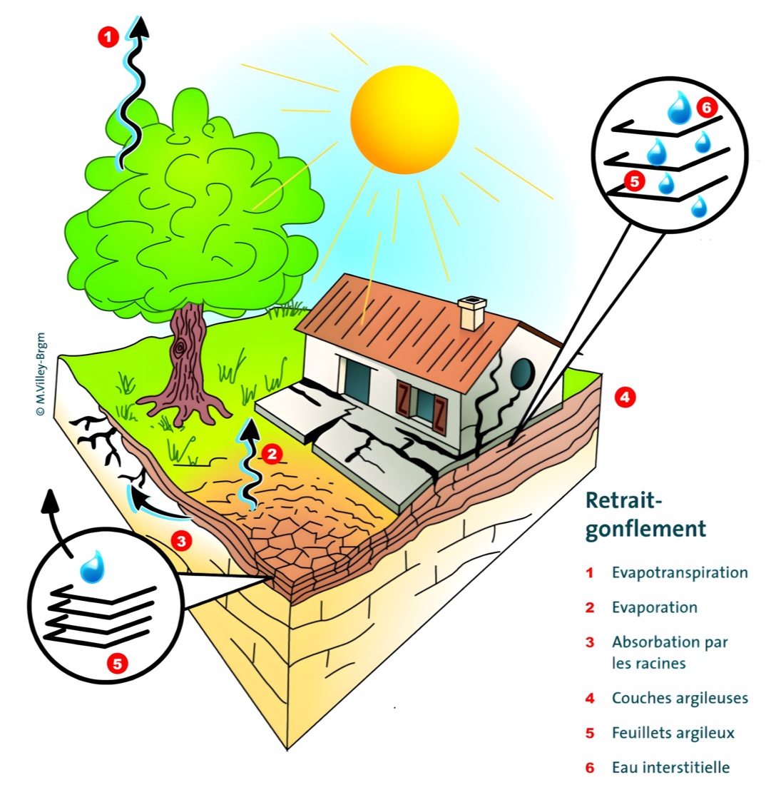 Schéma pédagogique du retrait-gonflement des argiles : évapotranspiration, évaporation, absorption par les racines, couches argileuses